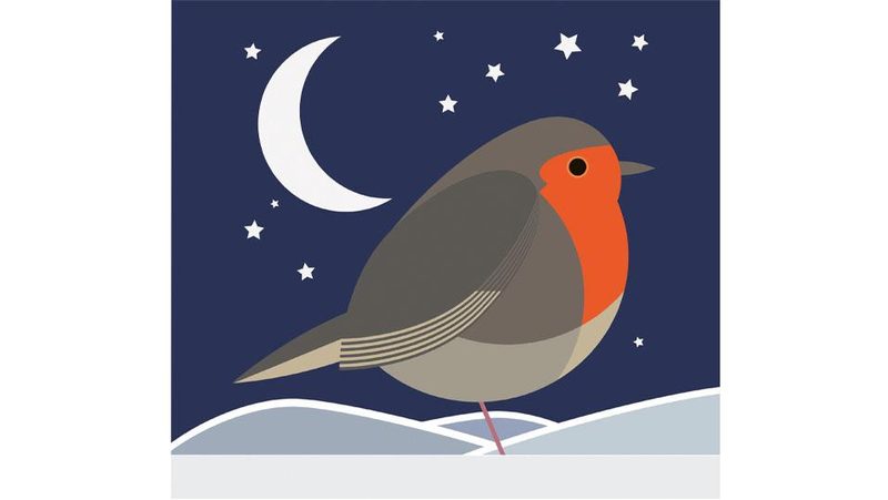Illustration Rotkehlchen