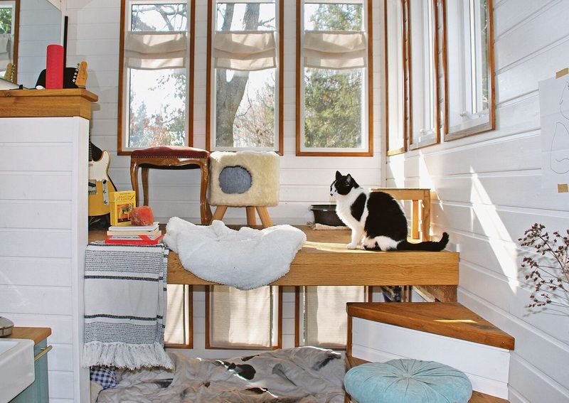 Im lichtdurchfluteten Tiny House von MarinaNiedermann fühlen sich auch Katzen pudelwohl.