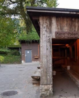 Amphibienhaus im Natur- und Tierpark Goldau