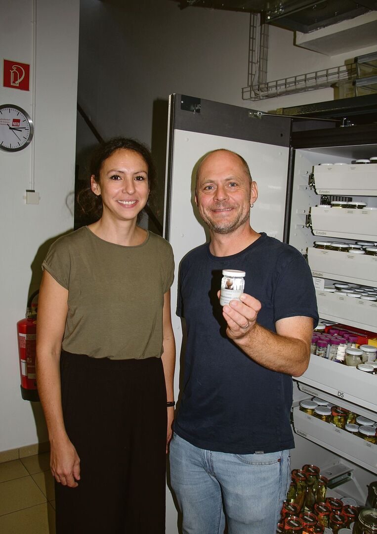 Dr. Fabrizia Ronco und Prof. Dr. Walter Salzburger in der Universität Basel mit dem Holotypus des Buntbarschs Telmatochromis salzburgeri aus dem Tanganjikasee.