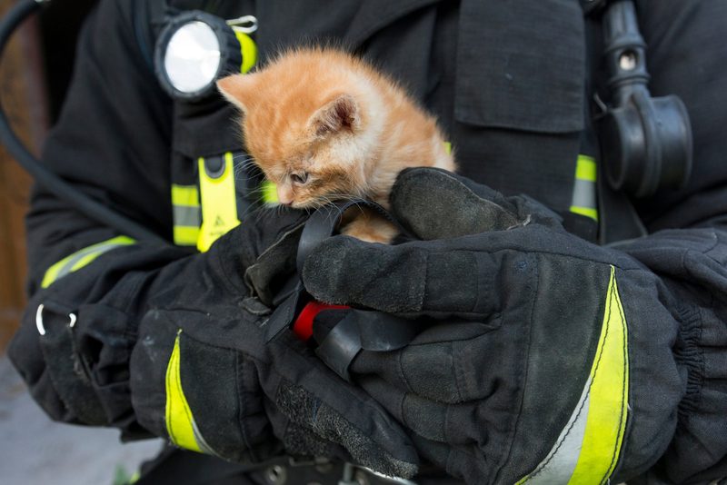 Ein Fall für die Feuerwehr?