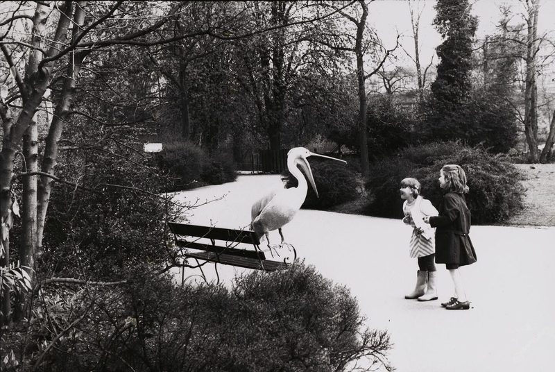 150 Jahre Basler Zoo: Eine Stadt-Oase voller Geschichte