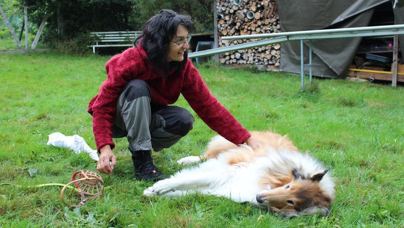 Hofhundetraining bei Sandra Weber in Urnäsch AR