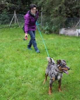 Hofhundetraining bei Sandra Weber in Urnäsch AR