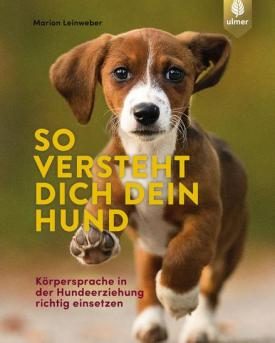 Buchtipp So versteht dich dein Hund