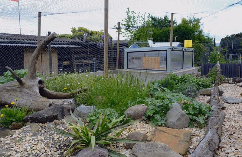 Die Baby-Schildkröten haben noch ihr eigenes kleines Reich. Schon bald können sie jedoch auf Entdeckungstour in der grossen Anlage gehen.