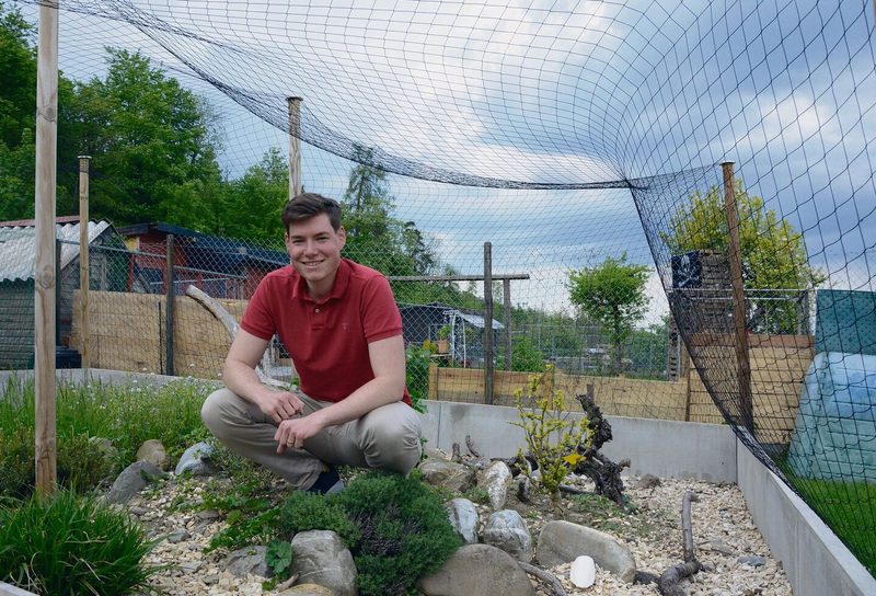 In der spannend gestalteten Anlage von Andreas Fux finden die Schildkröten nicht nur Grünfutter, sondern auch Sepiaschalen als Kalkspender.