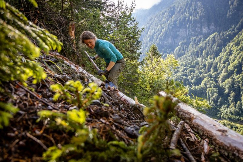 Schwitzen für die Schweizer Natur im Freiwilligeneinsatz