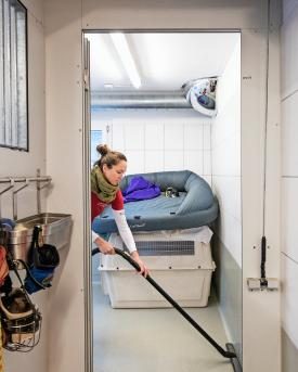 Tierpflegerin Maureen Hofer beim Putzen im Tierheim Pfötli.