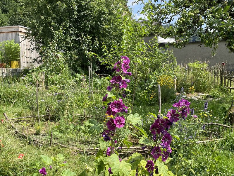 Monika Haug: Naturgarten im Siedlungsraum