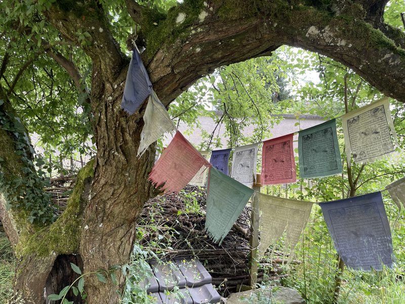 Monika Haug: Naturgarten im Siedlungsraum