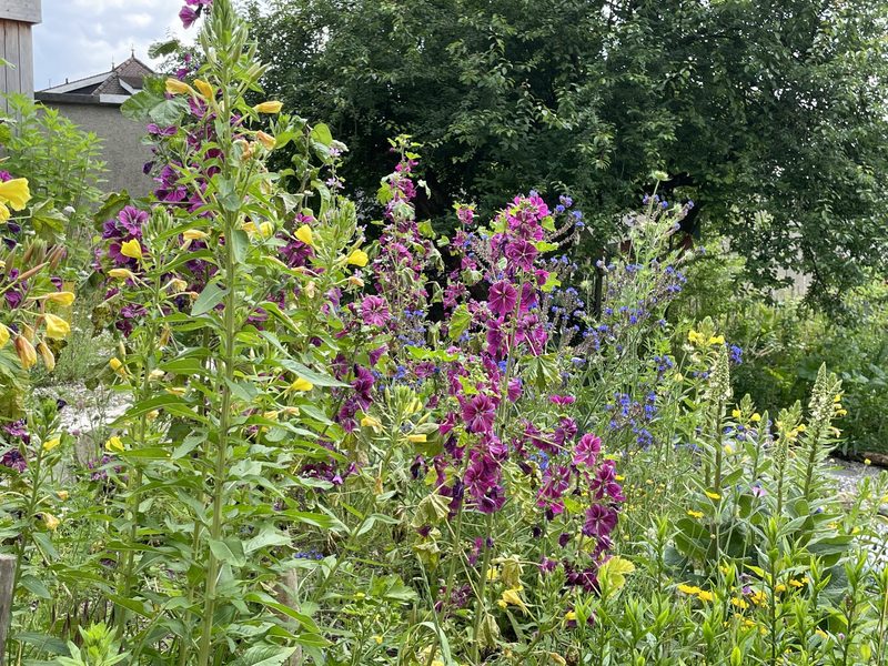 Monika Haug: Naturgarten im Siedlungsraum