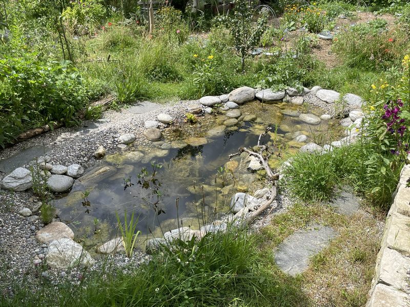 Monika Haug: Naturgarten im Siedlungsraum