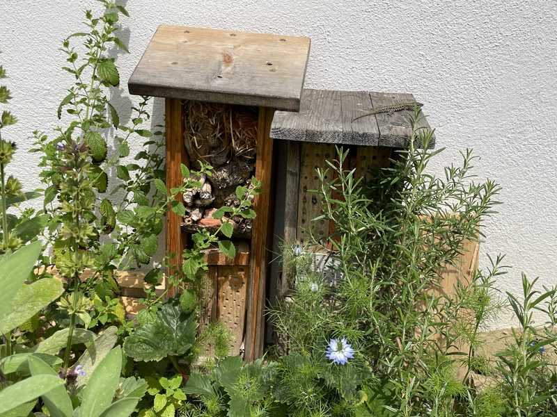Monika Haug: Naturgarten im Siedlungsraum