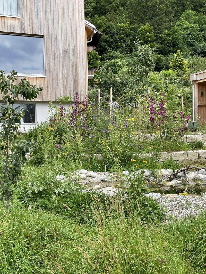 Monika Haug: Naturgarten im Siedlungsraum