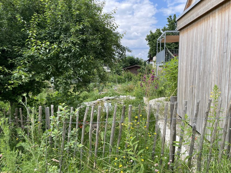 Monika Haug: Naturgarten im Siedlungsraum