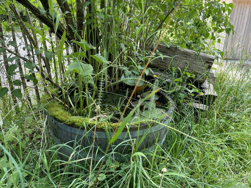 Monika Haug: Naturgarten im Siedlungsraum