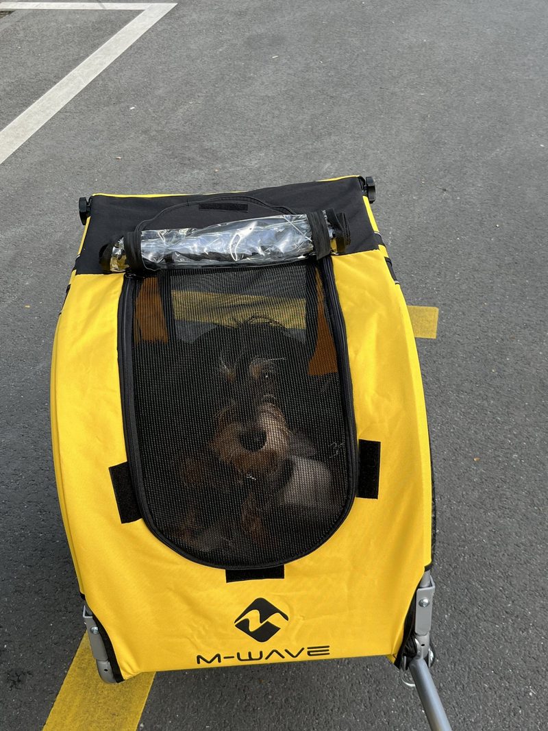 On the Road Again