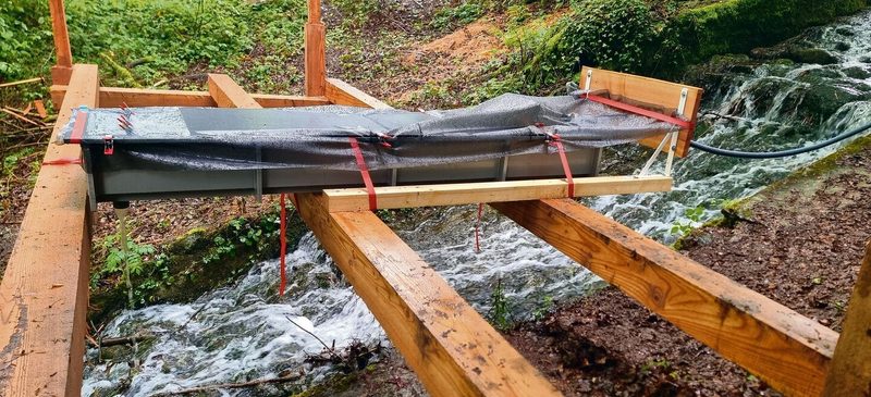 Der stetige Durchlauf von frischem Wasser aus dem Bach verhalf der Aufzuchtbox zum Erfolg.