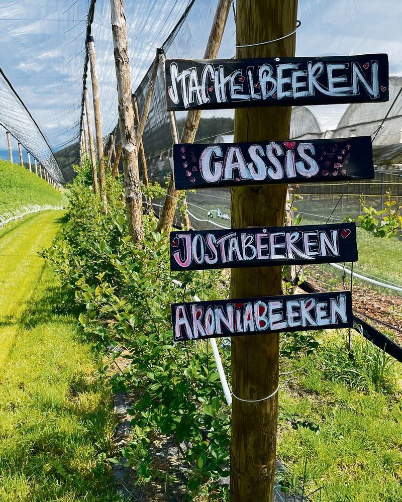 Mit delikatem Gewächs zum Dialog