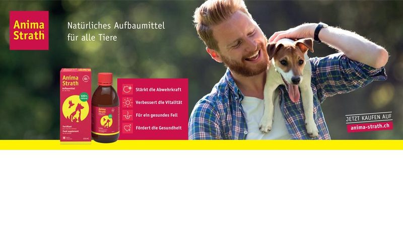 Leserangebot Amina-Strath