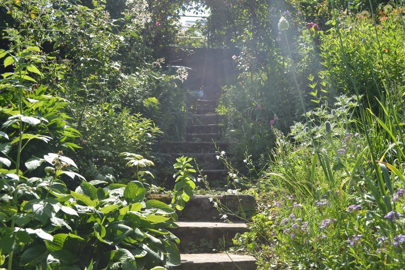Familie Schauwecker: Wildbienengarten