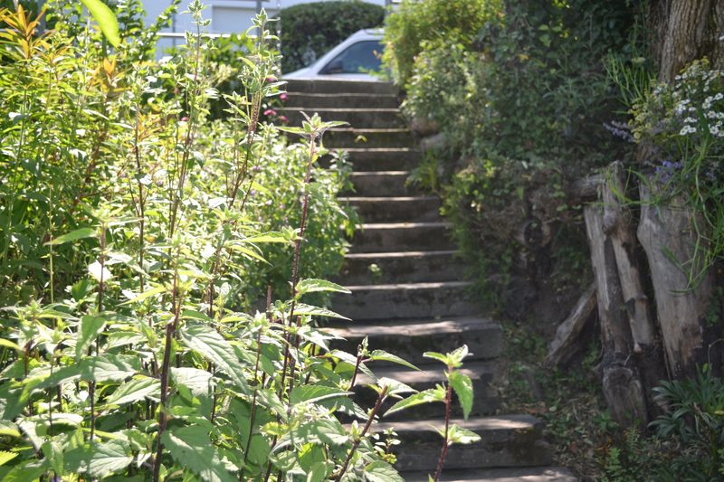 Familie Schauwecker: Wildbienengarten
