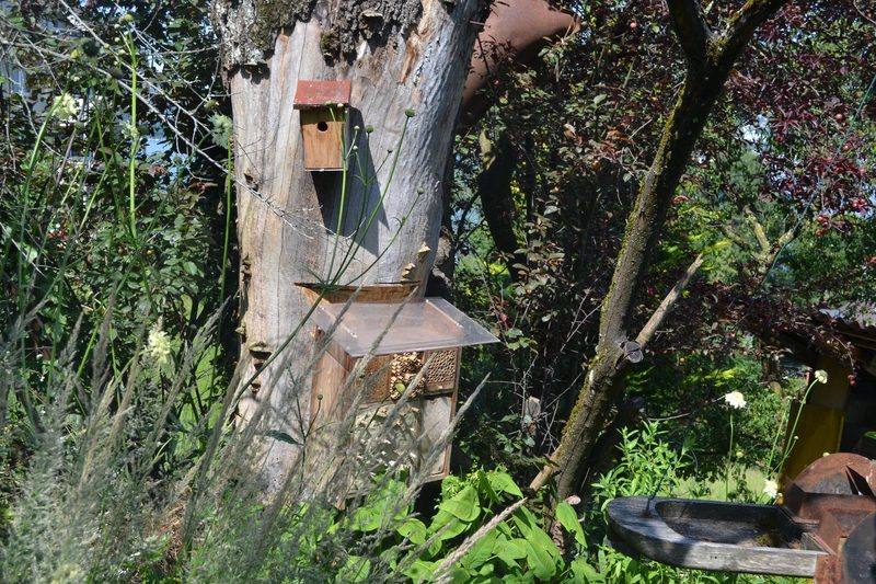 Familie Schauwecker: Wildbienengarten