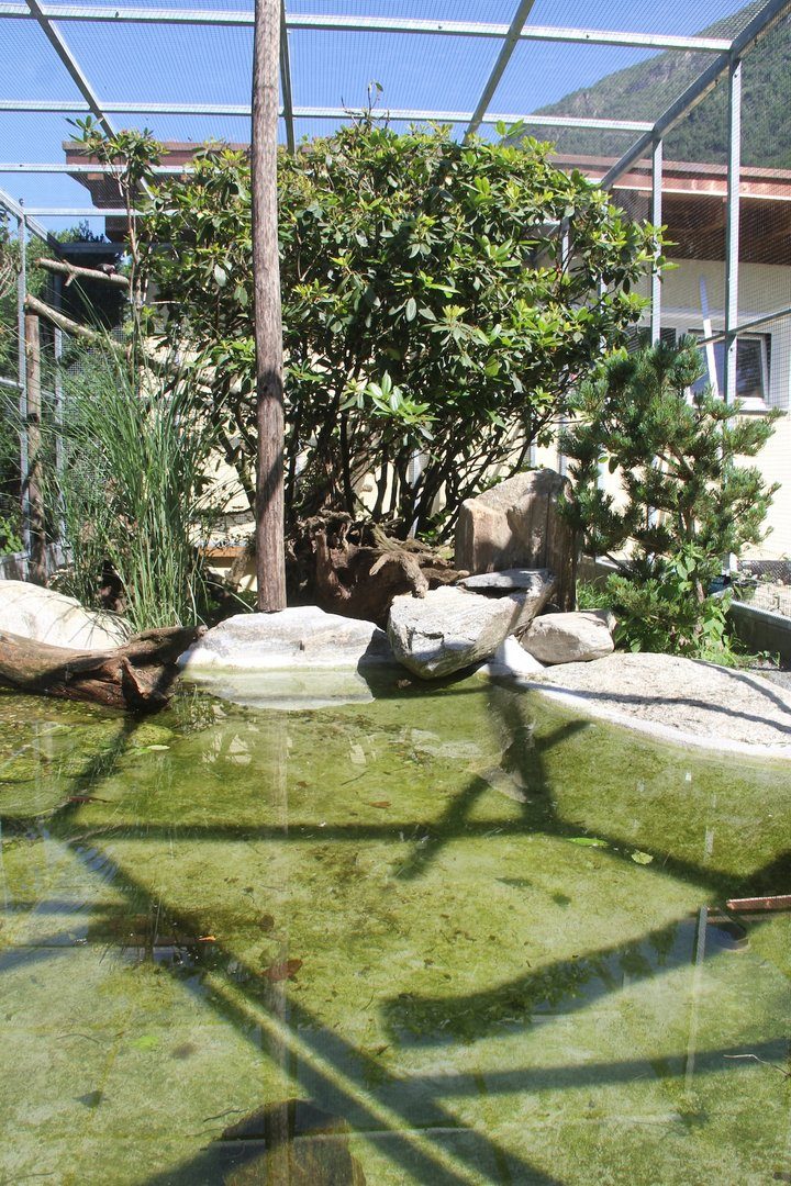 Zusatzthema: Vogelhaltung in Volieren