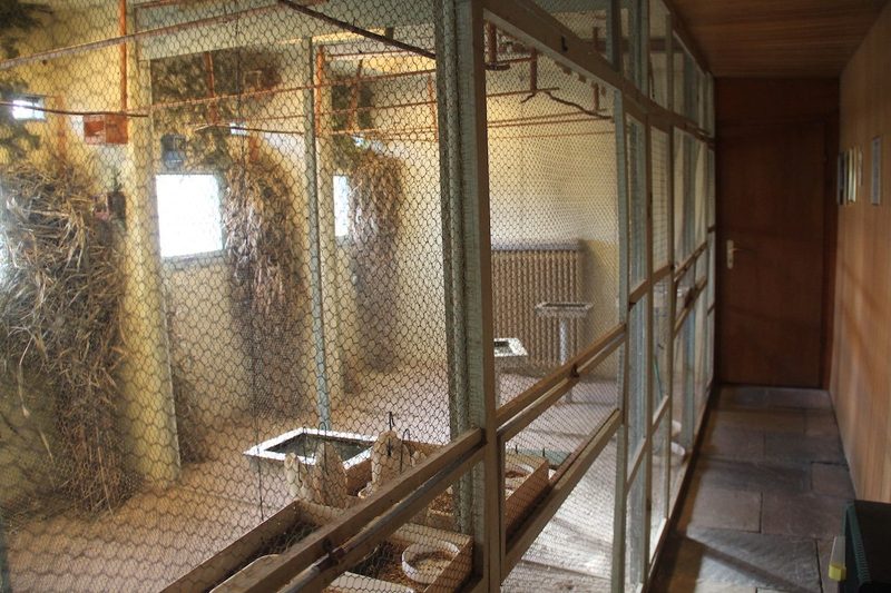 Zusatzthema: Vogelhaltung in Volieren