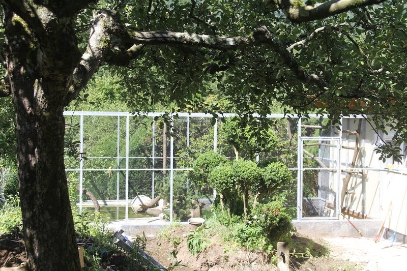 Zusatzthema: Vogelhaltung in Volieren