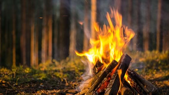 Feuerstelle im Wald