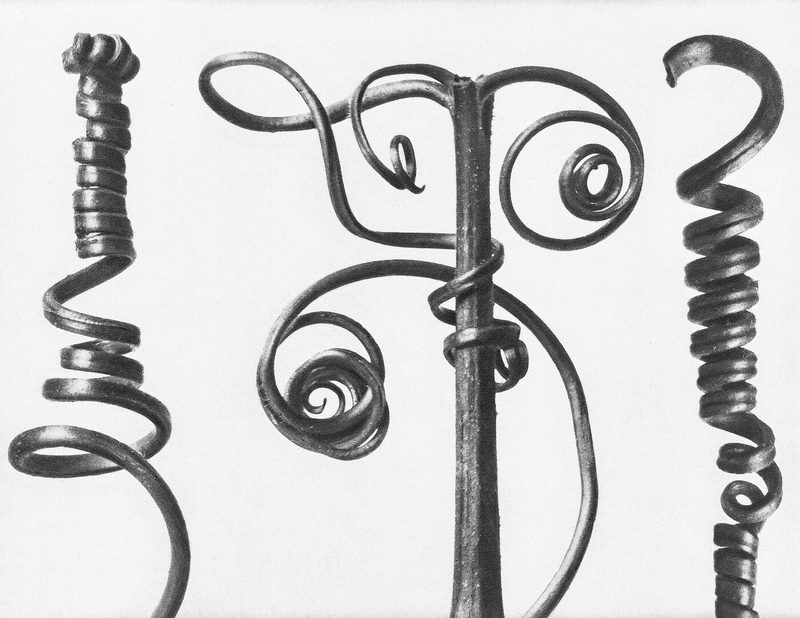 Neutraler Hintergrund und vergrössert dargestellt, so wirken Pflanzen wie Kunst.