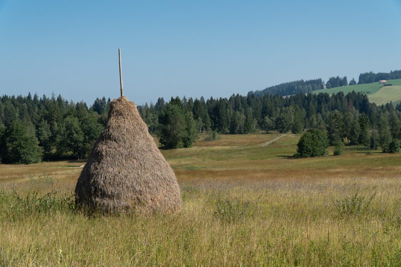 Ein Ökosystem im Wandel der Gesellschaft