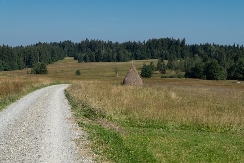Ein Ökosystem im Wandel der Gesellschaft