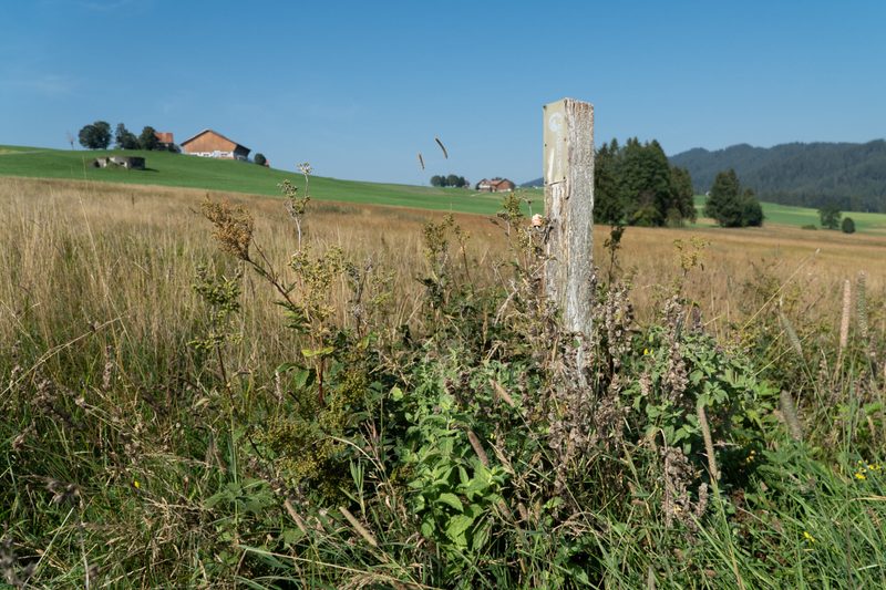 Ein Ökosystem im Wandel der Gesellschaft