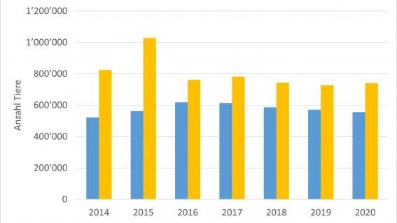 Tierversuche überzählige Tiere