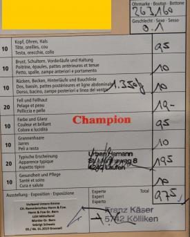 Bewertungsurkunde Kaninchenzucht