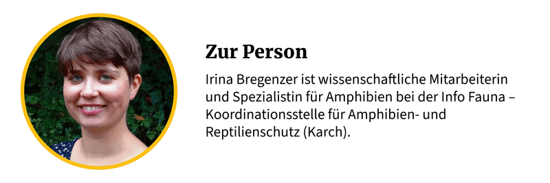 22 Fragen über Frösche