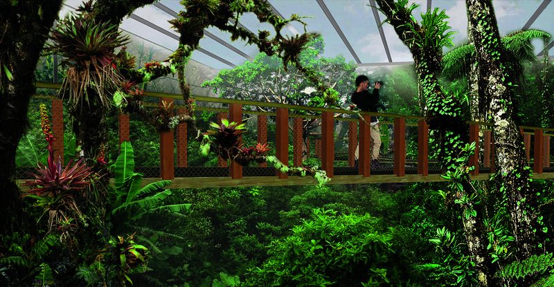 Durch die Baumgipfel im Papiliorama