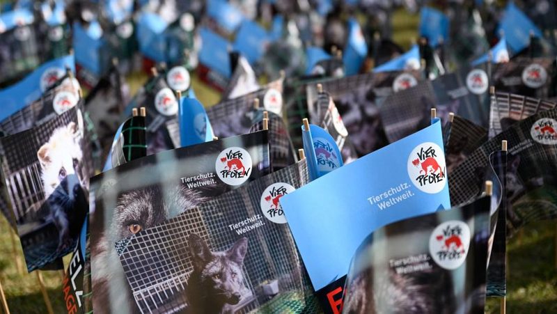 Pelzaktion von Vier Pfoten und dem Zürcher Tierschutz