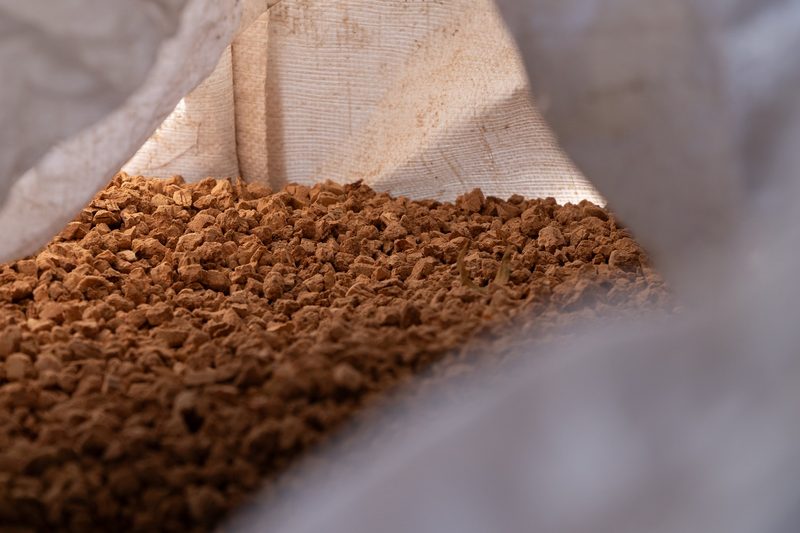 Die «Schlössli-Schüür»: Ein Leuchtturmprojekt aus Kork und Lehm