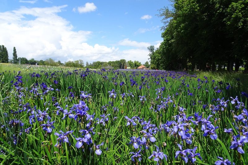 Die Schweiz als Gartenland