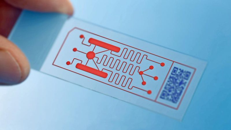 Zellkultur auf Chip als Alternative zu Tierversuchen