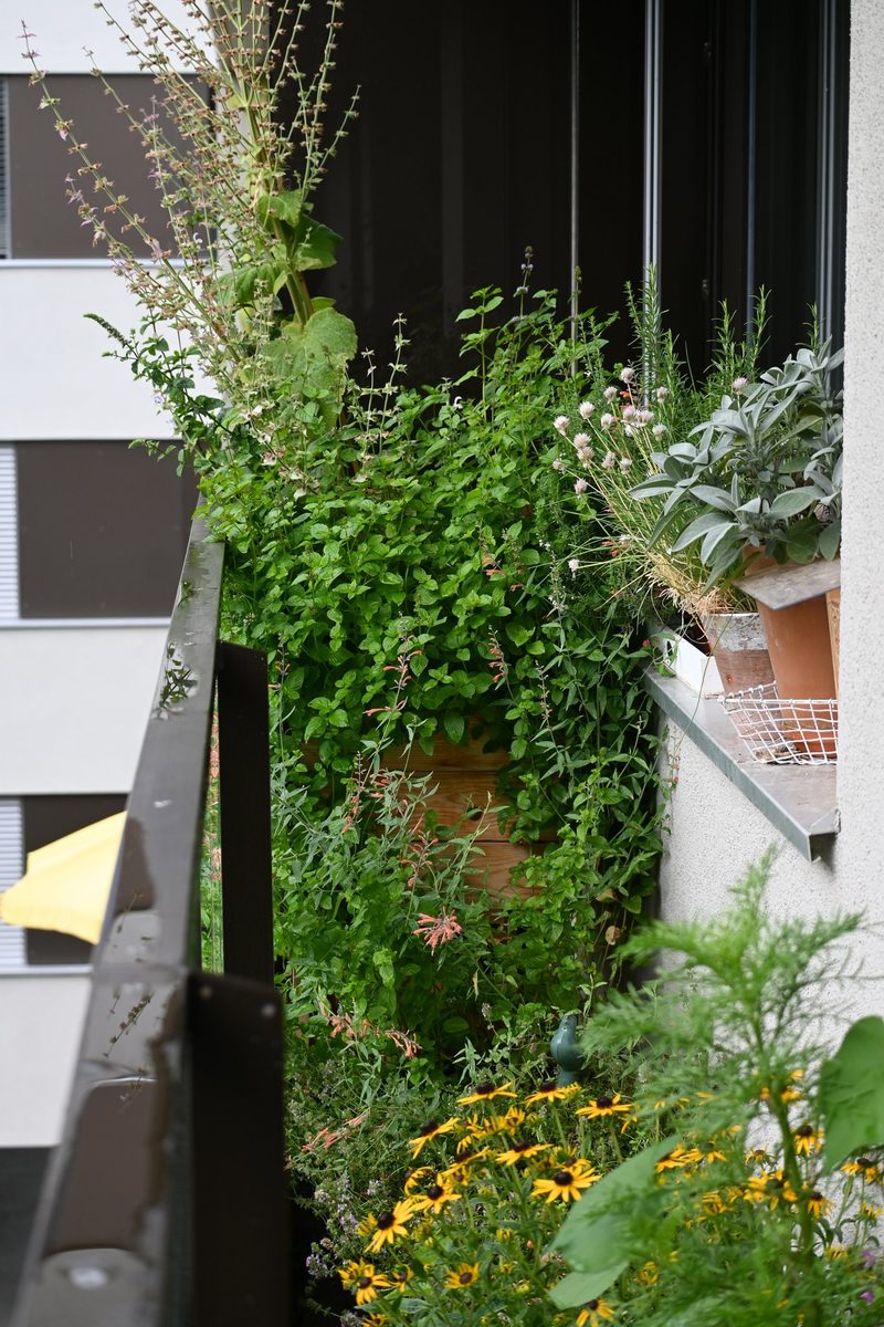 Martina und Mathias Maurer: Der Balkongarten
