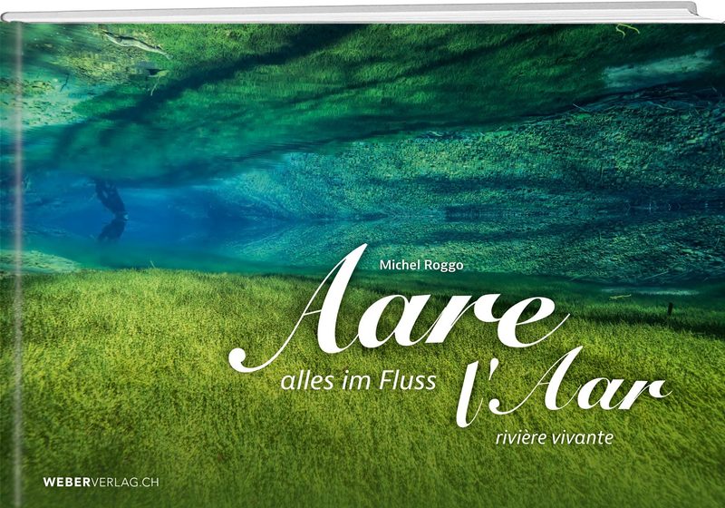 Unterwasserfotograf Michel Roggo und die verborgene Vielfalt der Aare