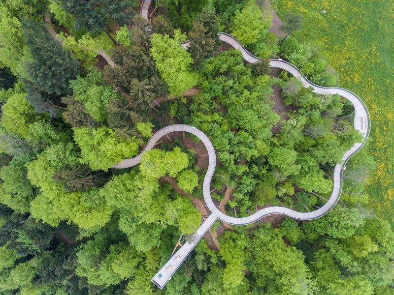 Gewinnen Sie 3x eine Familienkarte für den Baumwipfelpfad Neckertal