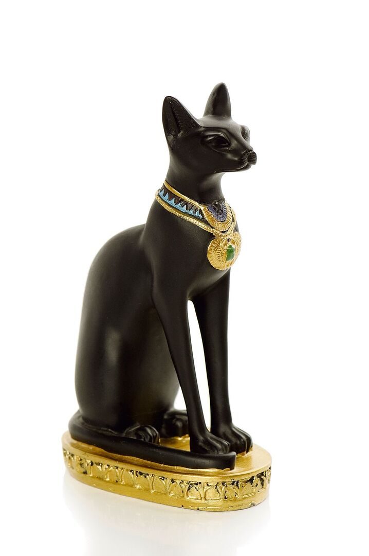 Geliebte Schmusekater und geheimnisvolle Stubentiger
