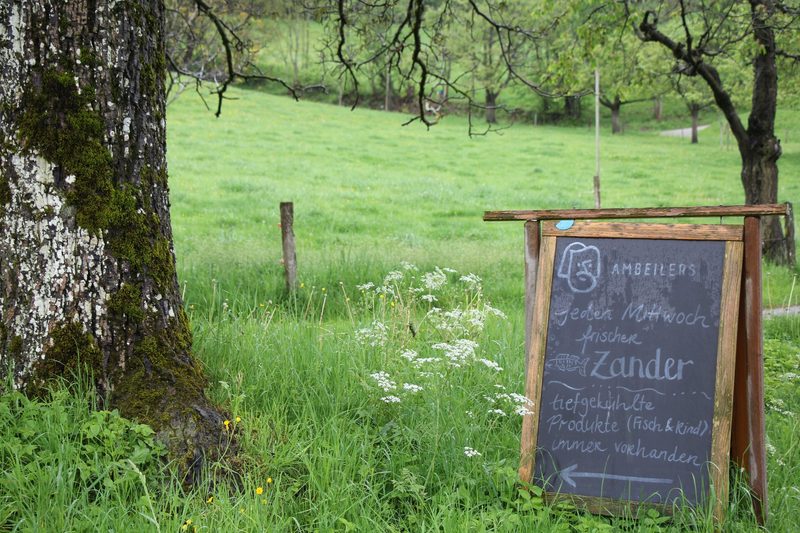 Fischzucht in der Schweiz