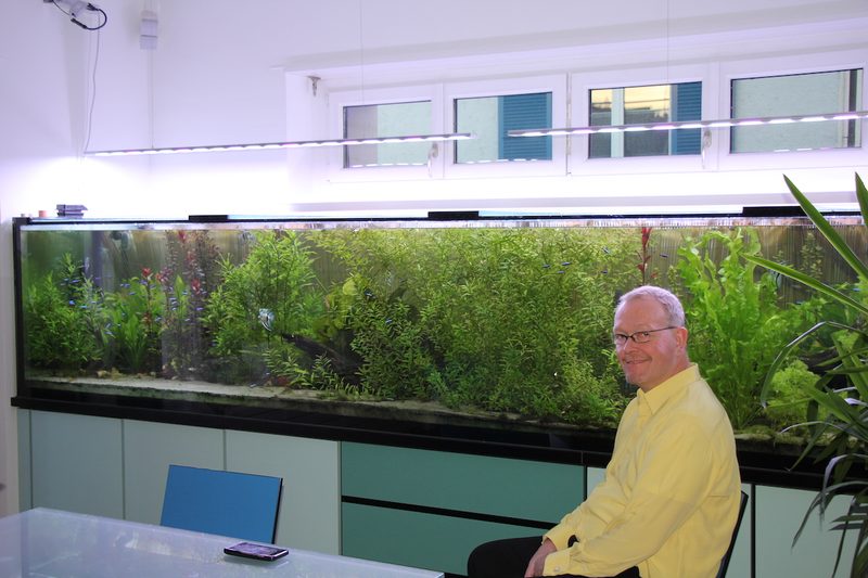 Einstieg in die Aquaristik